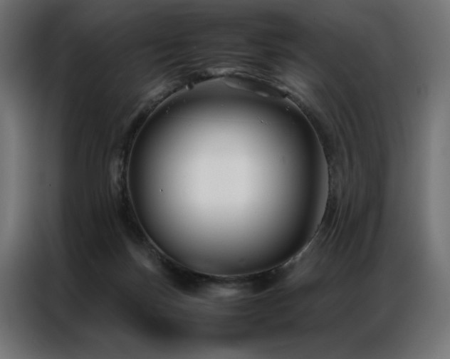 X0000086890171200704161258