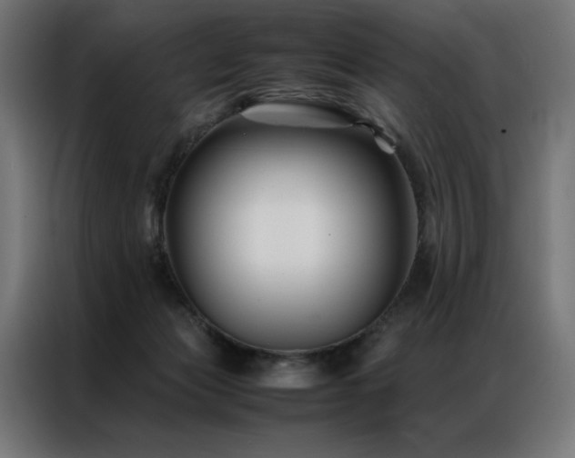 X0000086890173200704161258