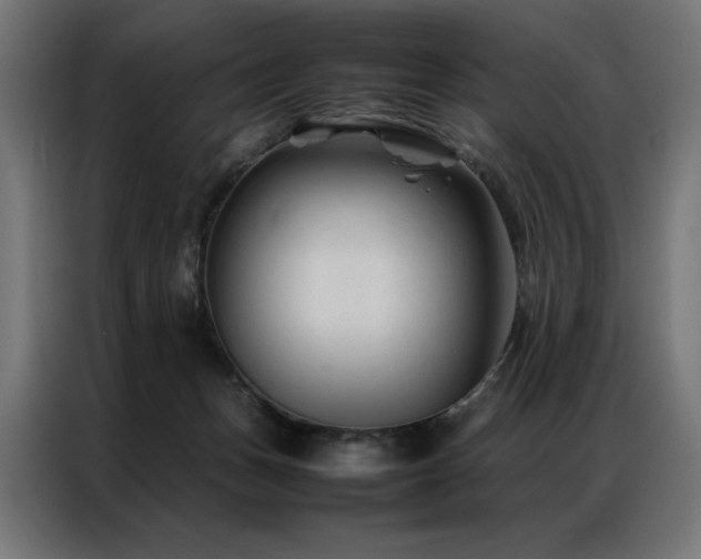 X0000086890175200704161258