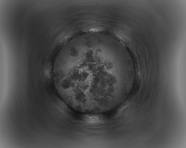 X0000086890181200704161258