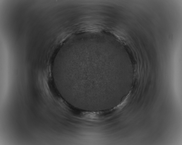 X0000086890182200704161258