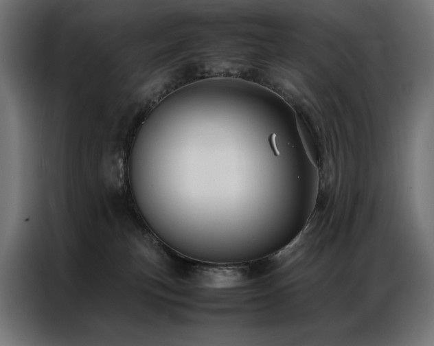 X0000086890183200704161258