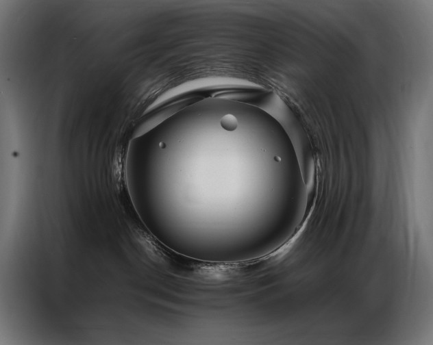 X0000086890190200704161258