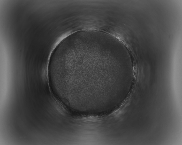 X0000086890196200704161257