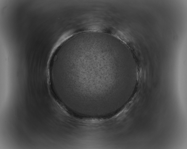 X0000086890198200704161257