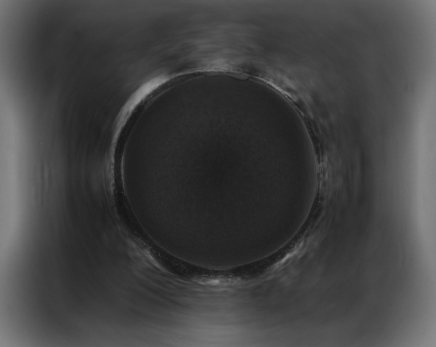 X0000086890200200704161257