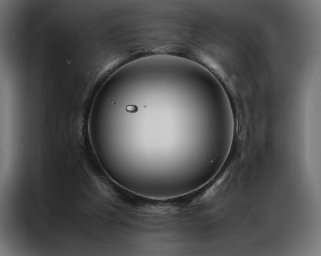 X0000086890201200704161257