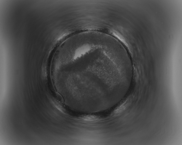 X0000086890203200704161257