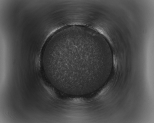 X0000086890204200704161257