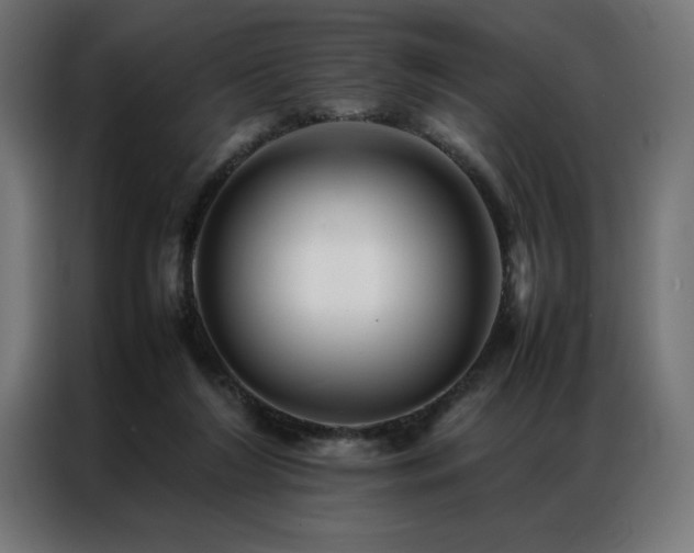 X0000086890212200704161257