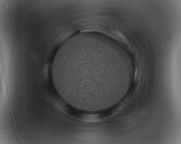 X0000086890217200704161257