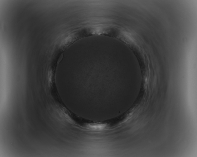 X0000086890219200704161257