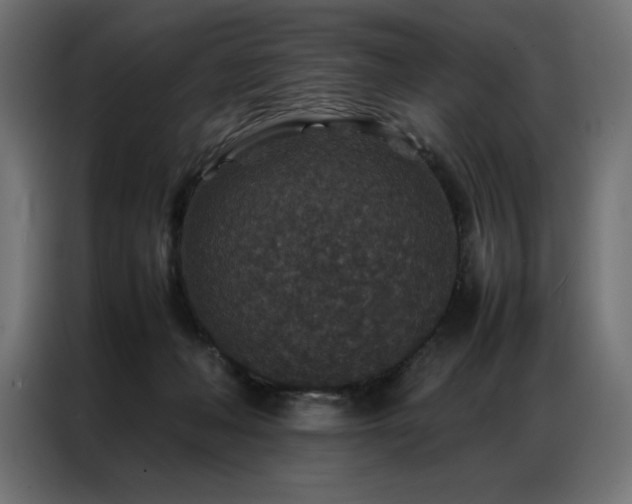 X0000086890222200704161256