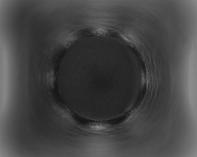 X0000086890223200704161256