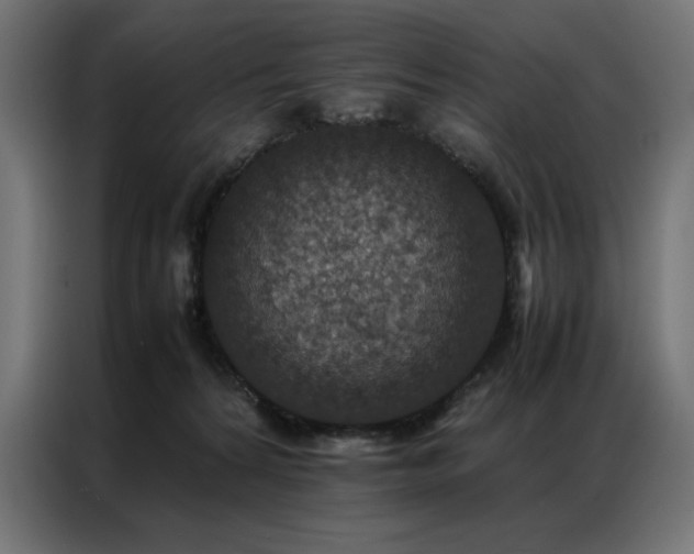 X0000086890224200704161256