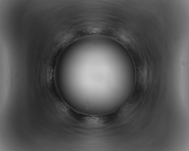 X0000086890230200704161256