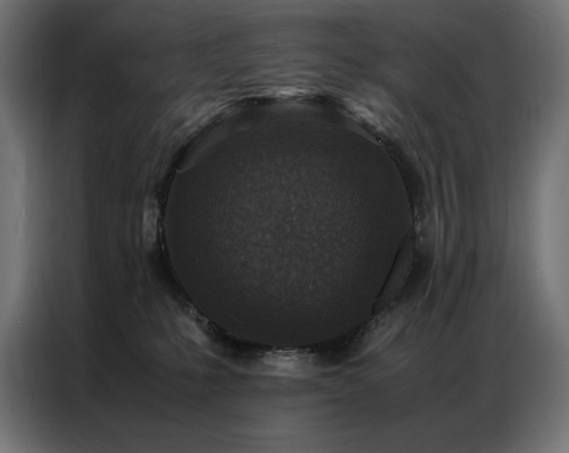 X0000086890231200704161256