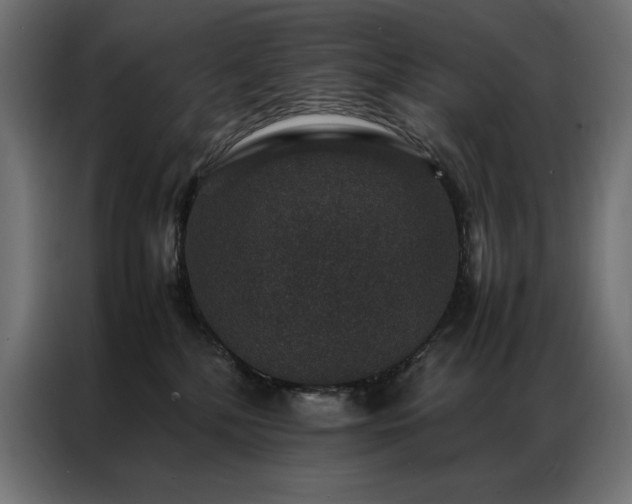 X0000086890232200704161256