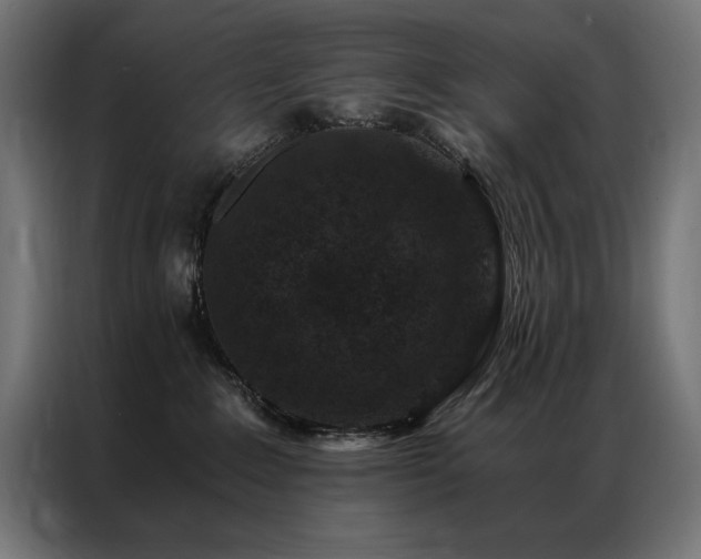 X0000086890235200704161256