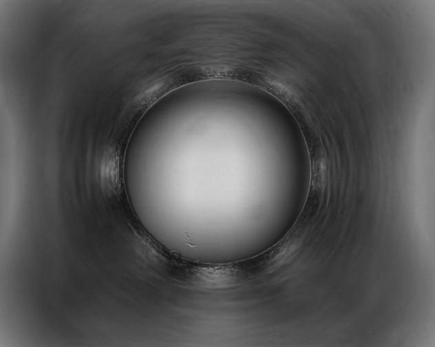 X0000086890238200704161256