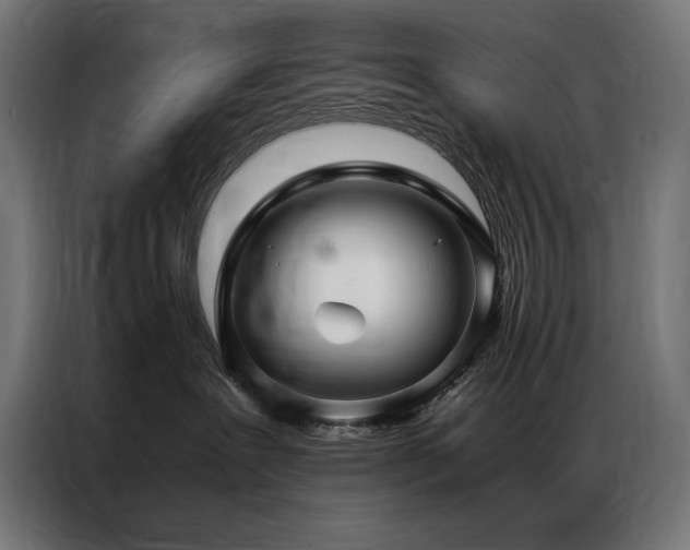 X0000086890239200704161256