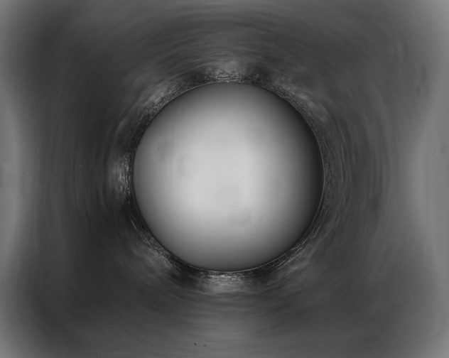 X0000086890240200704161256