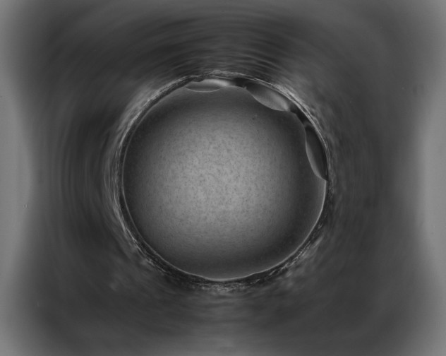 X0000086890241200704161255