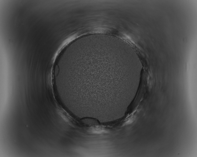 X0000086890244200704161255