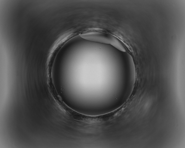 X0000086890245200704161255