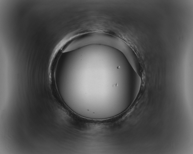 X0000086890246200704161255