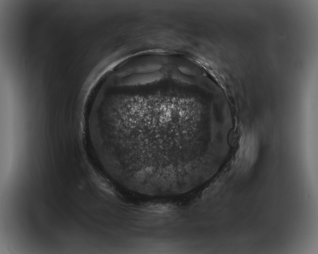 X0000086890247200704161255