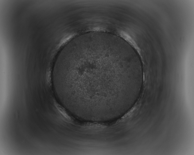 X0000086890249200704161255