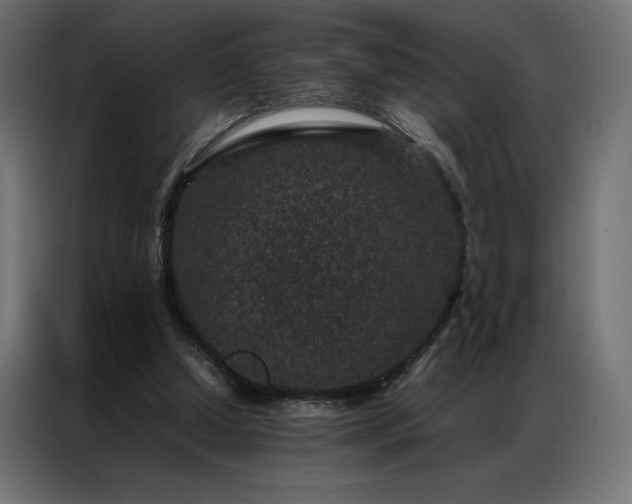 X0000086890250200704161255