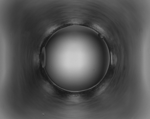 X0000086890252200704161255