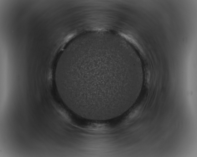 X0000086890260200704161256