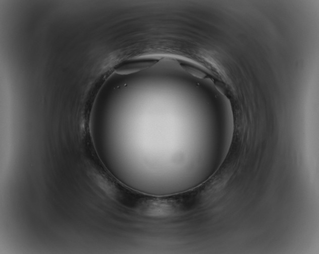 X0000086890261200704161256