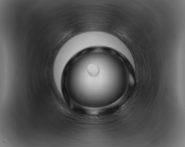 X0000086890264200704161256