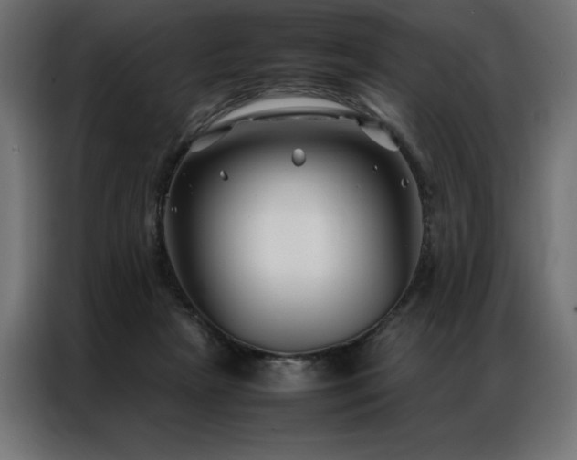 X0000086890265200704161256