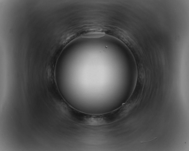 X0000086890270200704161256