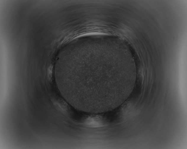 X0000086890271200704161256