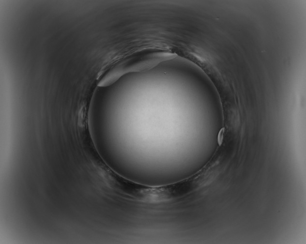 X0000086890273200704161256