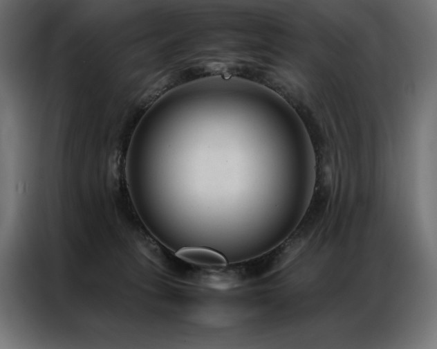 X0000086890275200704161256