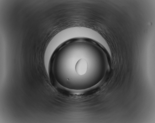 X0000086890276200704161256