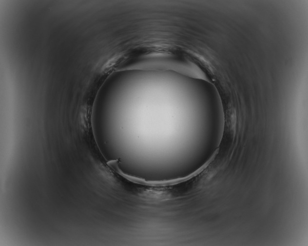 X0000086890280200704161256