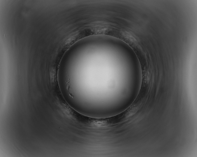 X0000086890283200704161256