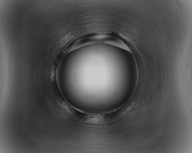 X0000086890288200704161256