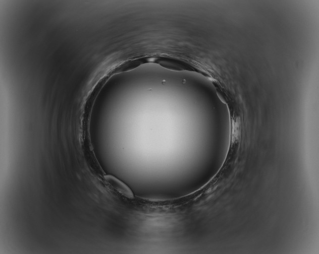 X0000086890291200704161255