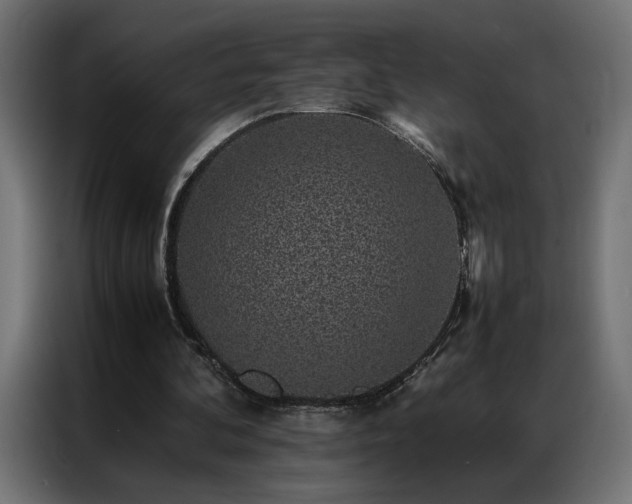 X0000086890292200704161255