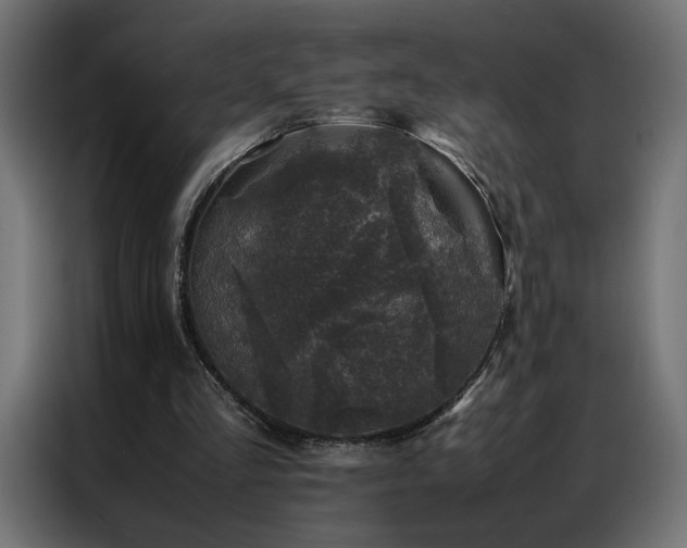 X0000086890293200704161255