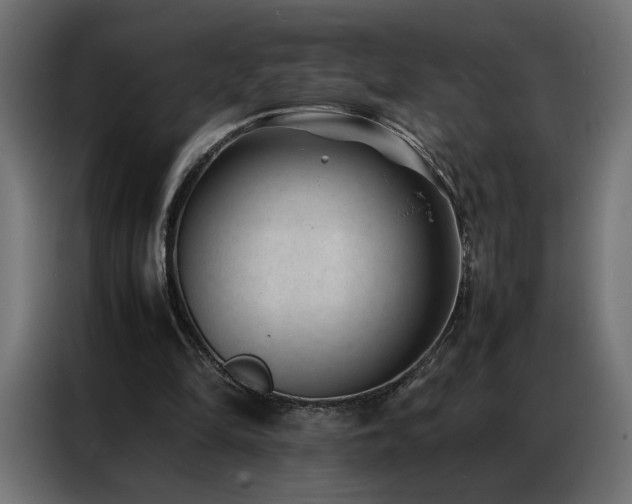 X0000086890294200704161255